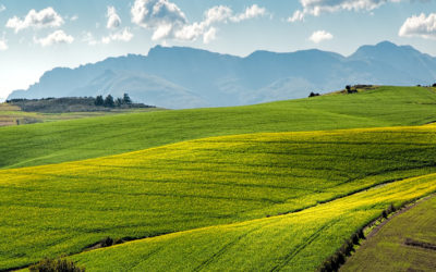 Matters of Land
